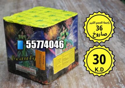 راجمة الحجم الكبير 36 صاروخ