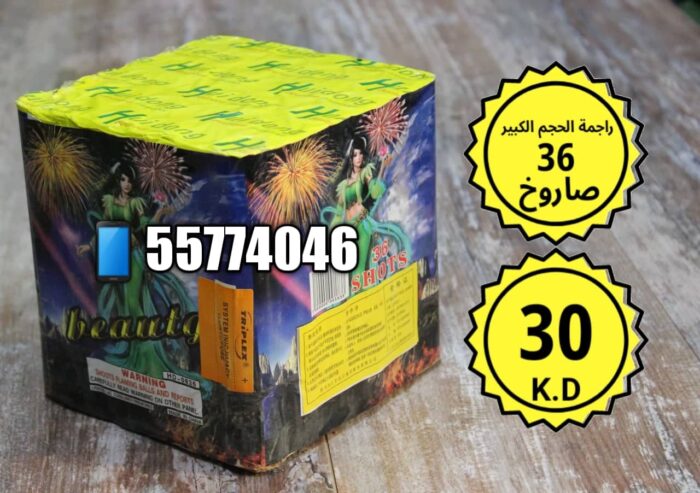 ⁦راجمة الحجم الكبير 36 صاروخ⁩ - الصورة ⁦1⁩